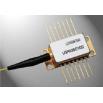1550nm DFB MQW Laser Diode - Butterfly Package